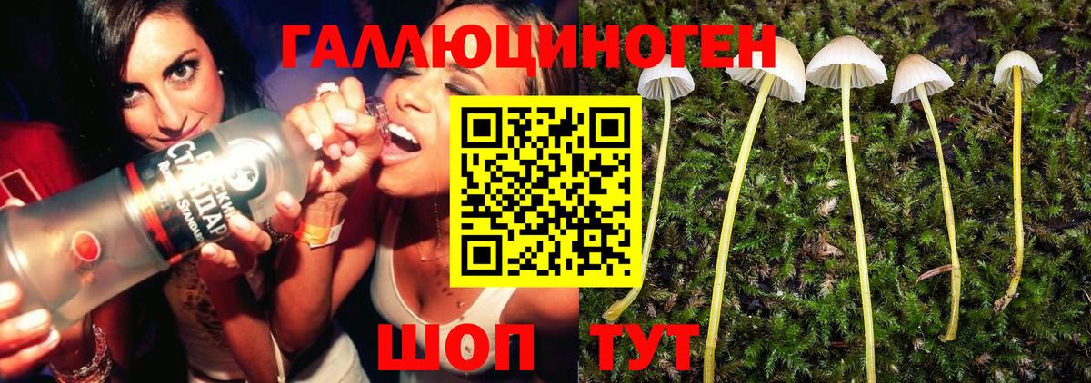Сибай  Галлюциногенные грибы ЛСД  Вход с VPN 